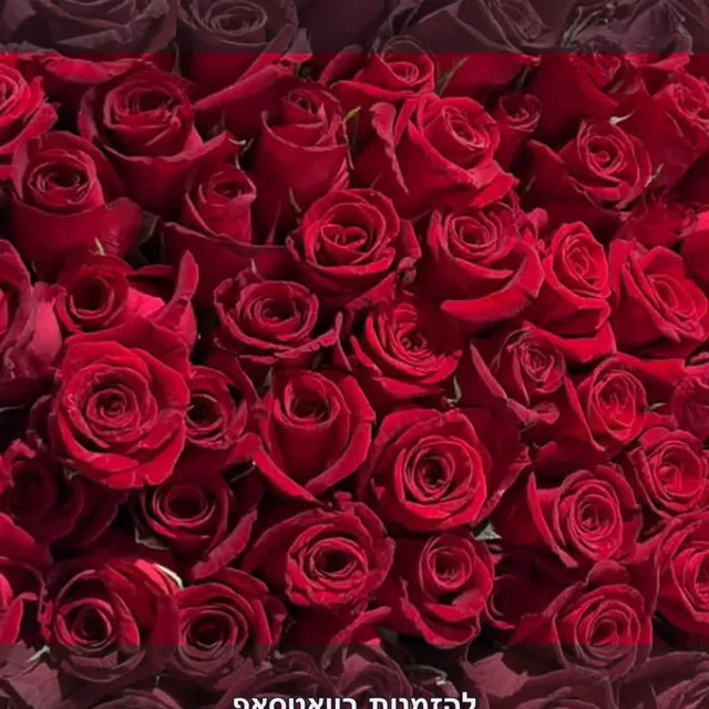 NINNYO · Red roses